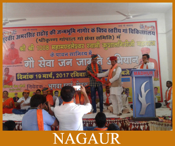 Nagaur