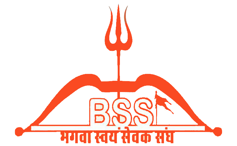 BSS logo